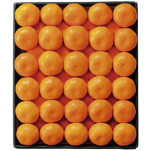 Ε Mtg Vh QY݂񌳔 51392 P52