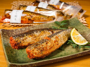  O  Mtg j j EuEG_v@Ă킵q s