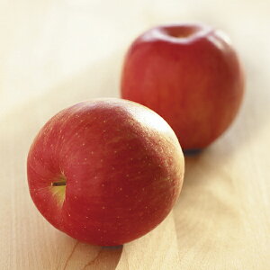 񂲁itƂ炸Tӂj YO]5K P51