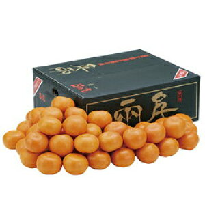 mQnFa ̊ې痼݂iݒ蓜x12xj STCY 3kg