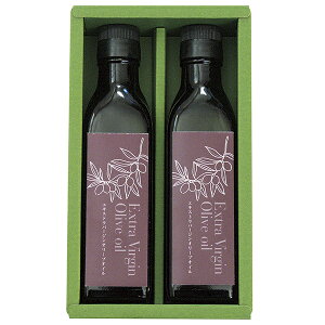 Ε Mtg   GLXgo[WI[uIC OX]2E P81