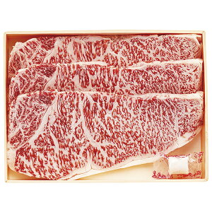 Y јaT[CXe[Lp MR]80 P39