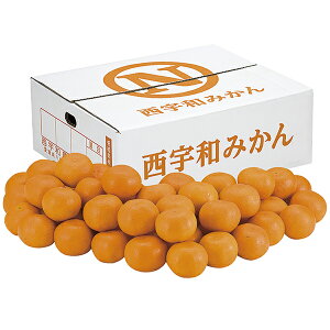 Ε Mtg  JAɂ ݂ EM]10 P50