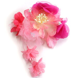  ZWsN  R[ l Ǝ   U a a    RT[W wAANZT[ C