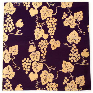 C~ GRobO ӂ낵    105cm o[Vu  { 킢  a Rbg Mtg v[g  ٓ GR