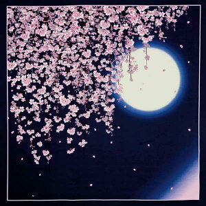 C~ GRobO ӂ낵 ӂ낵 {̏t 118cm  { ꂢ i  a Rbg Mtg v[g ٓ GR