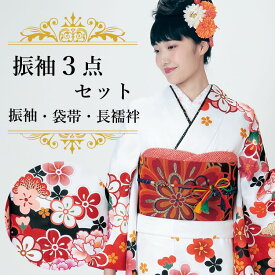 振袖3点セット 白地赤雲取り吉祥花 振袖 袋帯 長襦袢 セット 成人式 結婚式 卒業式に 晴れの日の装い 購入 新品 送料無料