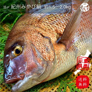 _ Ĥ 蕨  ^ Y IB݂  OdY {B N j hV̓ Ε  v[g H hg ^ ^_C p ₵ ^C j l  Vzj 