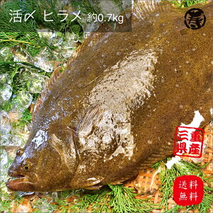 _ Ĥ 蕨  ^ g Y q 1.0kg`1.2kg 1 mY {B N   j Ε  v[g  hV̓ ̓ hg hg Ђ q p Y