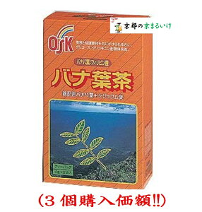 OSK�o�i�t��4gx32��3�i3�w�����z�j���J����