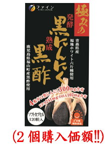 ݂̔yɂɂ|600mg×120i2wzj