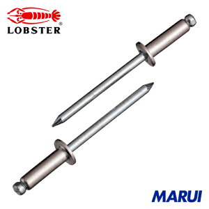 �G�r �u���C���h���x�b�g(�X�e�����X/�X�e�B�[����) 6-10(12�{��) �G�R�p�b�N 1Pk NSS610MP �yDIY�z�y�H���MARUI�z