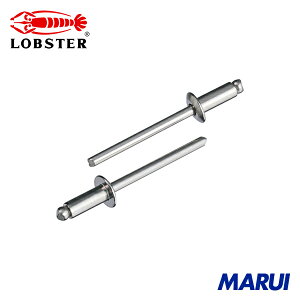 エビ ブラインドリベット(丸頭) ステンレス/ステンレス製 4-4(1000本入) 1箱 LST44 【DIY】【工具のMARUI】