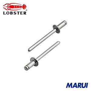 uebNX Gr uChxbg(A~/A~) 5-3(1000{)  1 NA53A yDIYzyHMARUIz