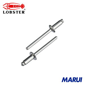 ���u�e�b�N�X �G�r �u���C���h���x�b�g(�X�e�����X/�X�e�����X��) 6-6(500�{��) ���� 1�� NST66A �yDIY�z�y�H���MARUI�z