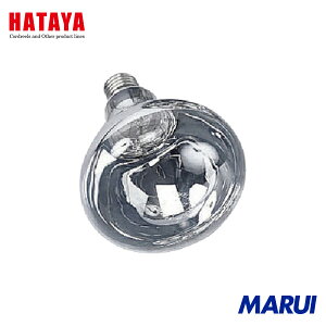 n^~ebh n^ tN^[v200W (RCAREARGARY^p) 1 RS200WH yDIYzyHMARUIz