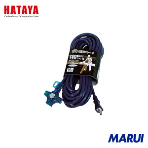 n^~ebh n^ SKR[h P100V 10m  1{ SK110B yDIYzyHMARUIz