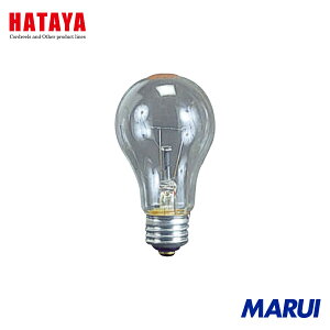�n�^�����~�e�b�h �n�^�� �ϐU�d��100W (ILI�AKL�^�p) 1�� TD100 �y��Ɠ� led �[�d�� �g���b�N �p�C�v�X�e�[ �}�O�l�b�g ��� �l���Z���T�[�z