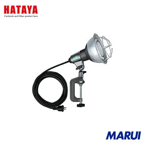 n^~ebh n^ LEDƓ 20WLEDvt 1 RGL5 yDIYzyHMARUIz