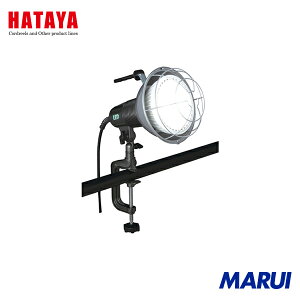 n^~ebh n^ 45W LEDƓ 100V 1 RXL10W yDIYzyHMARUIz