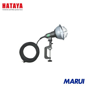 n^~ebh n^ LEDƓ 20WLp^CvLEDvt d10Mt 1 RGL10W yDIYzyHMARUIz