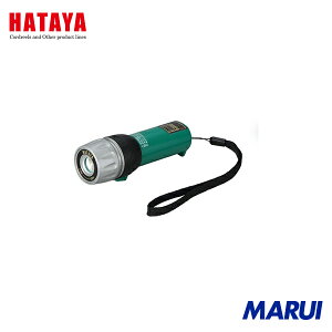 n^~ebh n^ LEDh^~jCg 1 SEP005D yDIYzyHMARUIz