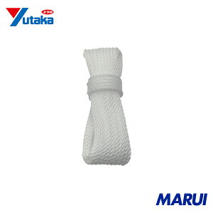 ���^�J���C�N ���[�v PE�i�`�������z���C�g 6��×10m 1�� A79 �yDIY�z�y�H���MARUI�z