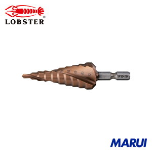 uebNX Gr XpCXe[Wh(Zp) ALCRNR[eBO 1{ SPSD422H yDIYzyHMARUIz