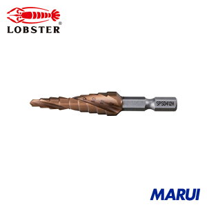 uebNX Gr XpCXe[Wh(Zp) ALCRNR[eBO 1{ SPSD412H yDIYzyHMARUIz