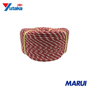 ���^�J���C�N ���[�v PE���[�v���� 6��×200m �R�E�n�N 1�� PE105 �yDIY�z�y�H���MARUI�z