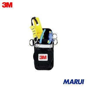 3M DBI-T[[TM]] fA c[zX^[ n[lXp(gN^[t) 1500109 1 1500109 yDIYzyHMARUIz