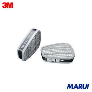 3M hŃ}XNpz 6001 2 1g 6001 yDIYzyHMARUIz