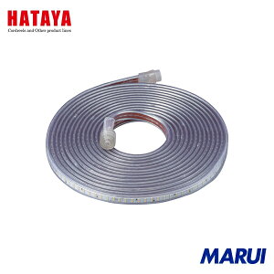 n^~ebh n^ e[vCĝ xZT[tLEDe[vCg 10m P 1 LTP10T yDIYzyHMARUIz