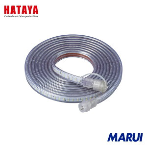 n^~ebh n^ e[vCĝ xZT[tLEDe[vCg 5m P 1 LTP5T yDIYzyHMARUIz