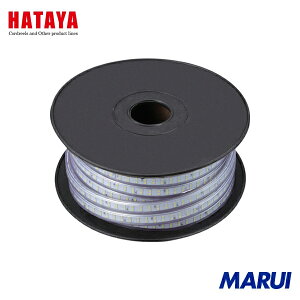 n^~ebh n^ e[vCĝ xZT[tLEDe[vCg 20m P 1 LTP20T yDIYzyHMARUIz