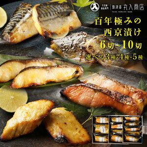 4ނIׂ Ђ 36 48 510 ₾     L To I  lߍ킹  蕨 ăMtg Mtg v[g j Ћ Ă  Ⓚ 
