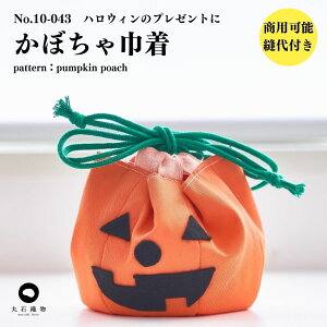 yDtz10-043 ڂВ nEB 菑dltyp\z
