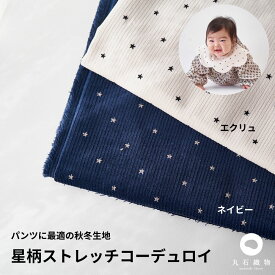 生地 布 星柄ストレッチコーデュロイ 50cm単位繋げてカット 110cm幅 0.75mm厚【商用可能】