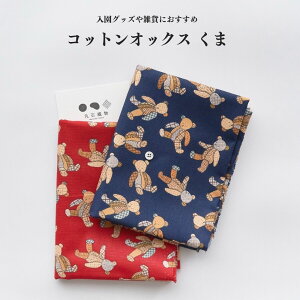 n z gxA[Y 50cmPʃI[_[Jbg 110cm 0.4mmyppz