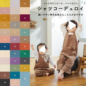 yiヌr[300~OFFN[|v[gzn z H~ n R[fC Rbg 21EF[ VcR[fC VcR[ 50cmP 110cm i8200  w ObYy