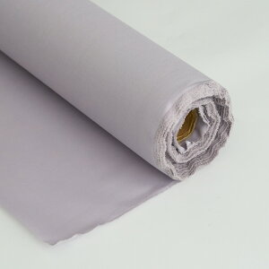 n z n ܂ĂȂȂ~l[g 50cmP S20F 106cm 0.24mm |[`G݂