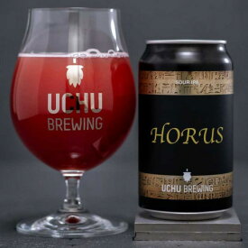 （山梨）HORUS　350ml　缶　6％　発泡酒　要冷蔵　うちゅうブルーイング　クラフトビール　地ビール　宇宙ビール