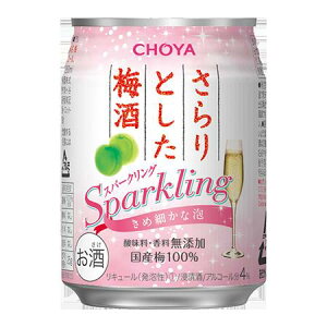 sy24{ZbgzƂ~@ʁ@Xp[NO@250ml AR[F4