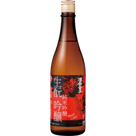 （京都）酒呑童子（しゅてんどうじ）吟醸　生もと　720ml　純米吟醸　原酒