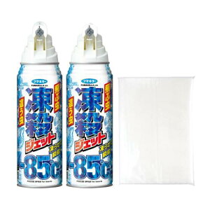 フマキラー 凍殺ジェット 300ml ×2本+おまけ付き 殺虫成分ゼロ 瞬間冷却 噴射 クモ カメムシ ムカデ 駆除 (飛ぶ虫にも這う虫にも) まとめ買い