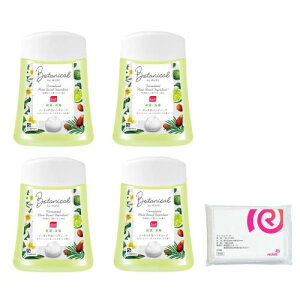 ܂Ƃߔ 򕔊Oi ~[Y m[^b` lߑւ {^jJ zCg (zCg[xKbg̍) fBXyT[p 250mL × 4 (1000) E  ێz ܂