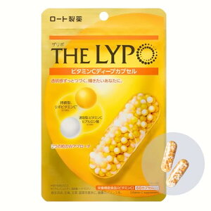 �U�E���| �U���| �r�^�~��C�f�B�[�v�J�v�Z�� 60�� (���|�r�^�~��C�E�q�A�������_�z��) ���|�\�[�� 30����