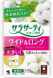 TT[eB Rbg100 ChO Ƃ傫STCY  ̃V[g 40 ѐ