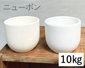 陶芸粘土・磁器土「ニューボン」真空土練機掛け（10kg／20kg）