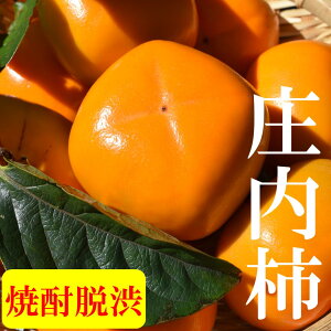 \  R`Y ` L TCY ȏ  ɂœK  5kg 25ʁ`30ʑO 傤Ȃ